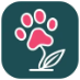 CatnBloom